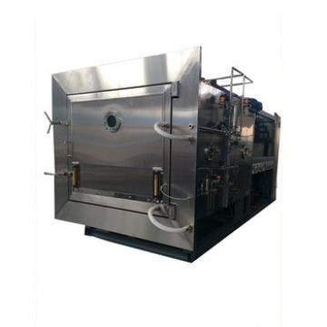 Cheap Vacuum Electric Industrial Fresh Vegetable Freeze Dryer