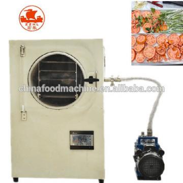 Inexpensive Household Mini Vacuum Food Freeze Drier/0086-13283896221